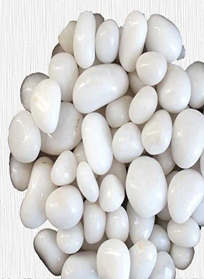 TOI SHOP White Agate Tumble/Pebbles Stone. for Reiki, Crystal, Vastu, Fang Shui Aura, Home Decor, Office Decor, Gifting, Good Luck, showpiece etc. (White, 400 gm) - Image 4
